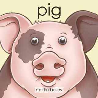 Book Pig Martin Bailey