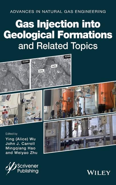 Carte Gas Injection into Geological Formations and Related Topics John J. Carroll