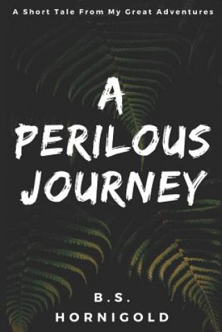 Książka A Perilous Journey: A Short Tale From My Great Adventures B S Hornigold