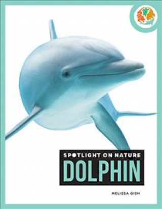 Buch Dolphin Melissa Gish