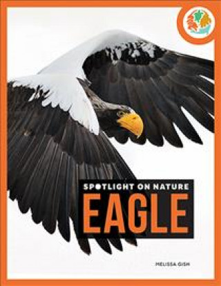 Knjiga Eagle Melissa Gish