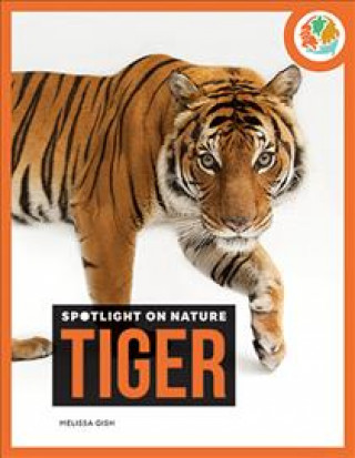Kniha Tiger Melissa Gish