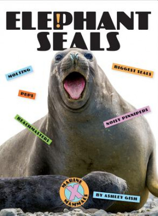 Libro Elephant Seals Ashley Gish