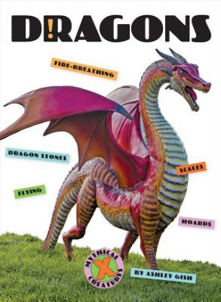 Libro Dragons Ashley Gish