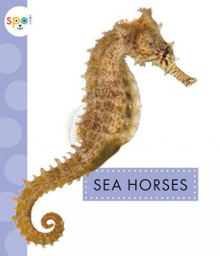 Kniha Sea Horses Mari C. Schuh