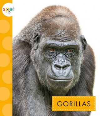 Knjiga Gorillas Mary Ellen Klukow