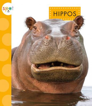Libro Hippos Mary Ellen Klukow