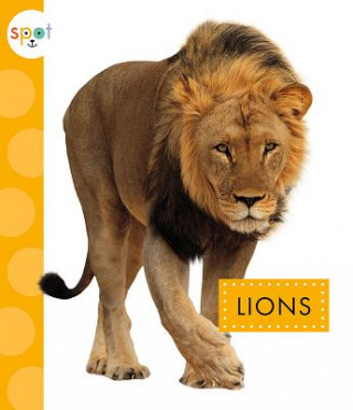Libro Lions Mary Ellen Klukow