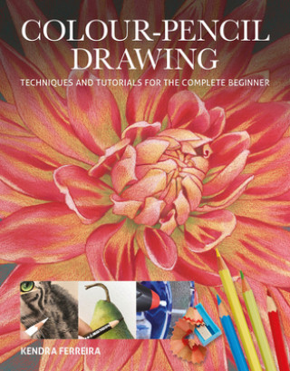 Kniha Colour-Pencil Drawing Kendra Ferreira