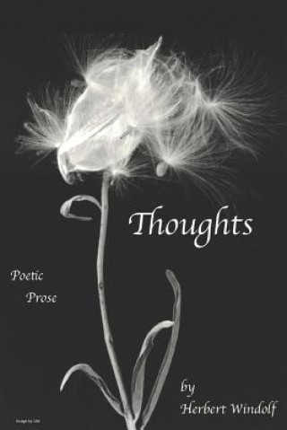 Knjiga Thoughts Herbert Windolf