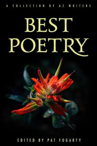 Buch Best Poetry Pat Fogarty