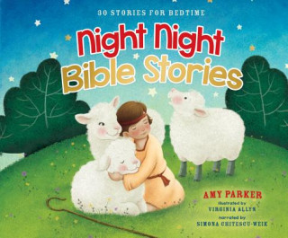 Digital Night Night Bible Stories: 30 Stories for Bedtime Amy Parker