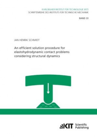 Książka An efficient solution procedure for elastohydrodynamic contact problems considering structural dynamics Jan Henrik Schmidt