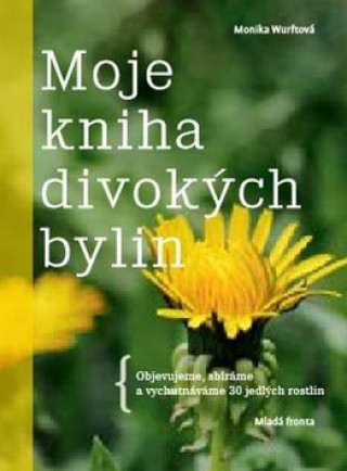 Book Moje kniha divokých bylin Monika Wurftová