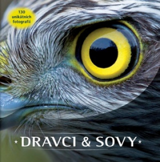 Książka Dravci a sovy 