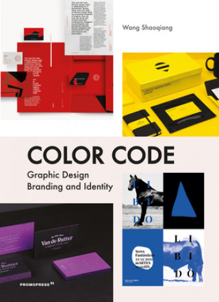 Kniha Color Code: Graphic Design, Branding and Identity Wang Shaoqiang