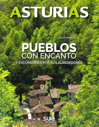 Book ASTURIAS JULIO HERRERA