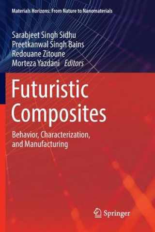 Buch Futuristic Composites Sarabjeet Singh Sidhu