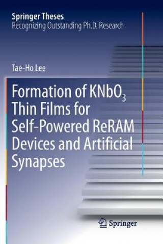 Kniha Formation of KNbO3 Thin Films for Self-Powered ReRAM Devices and Artificial Synapses Tae-Ho Lee