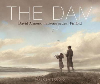 Book Dam David Almond