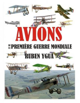 Carte Avions de la Premi?re Guerre Mondiale Ruben Ygua