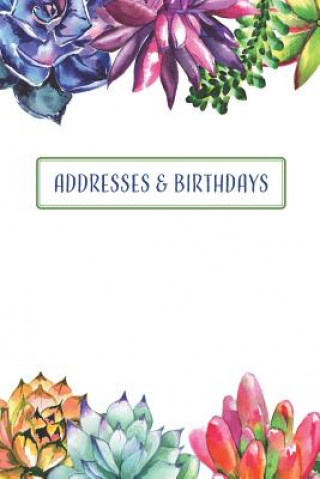 Könyv Addresses & Birthdays: Watercolor Succulents Andante Press