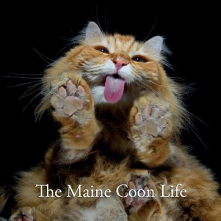 Carte Maine Coon Life Reka Komoli