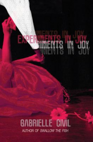 Kniha Experiments in Joy Gabrielle Civil