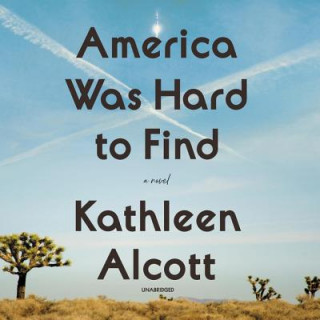 Digital America Was Hard to Find Kathleen Alcott