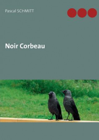 Kniha Noir Corbeau Pascal Schmitt