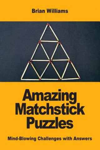 Livre Amazing Matchstick Puzzles Brian Williams