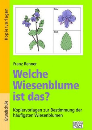 Książka Welche Wiesenblume ist das? Franz Renner