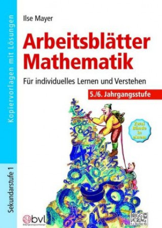 Könyv Arbeitsblätter Mathematik 5./6. Klasse Ilse Mayer