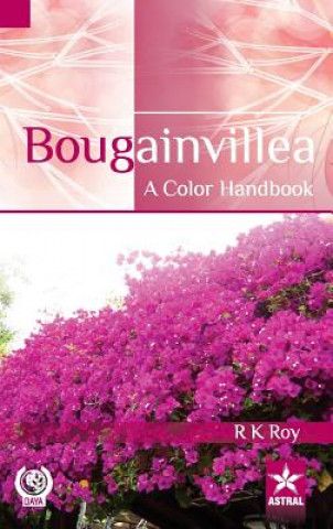 Kniha Bougainvillea R. K. Roy