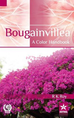 Knjiga Bougainvillea R. K. Roy