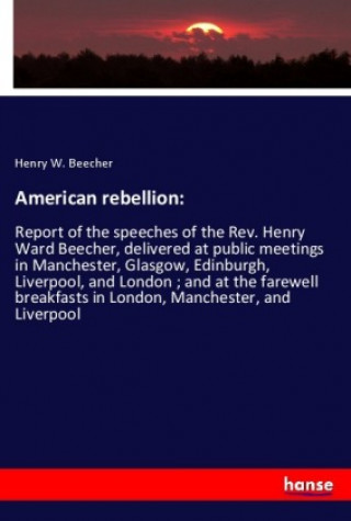 Buch American rebellion: Henry W. Beecher