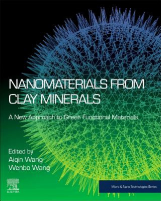 Kniha Nanomaterials from Clay Minerals Aiqin Wang