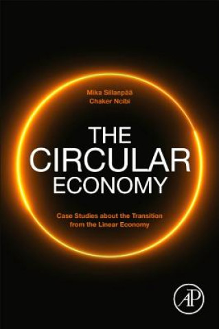 Kniha Circular Economy Mika Sillanpaa