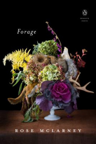 Knjiga Forage Rose McLarney