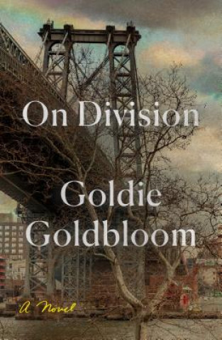 Kniha On Division Goldie Goldbloom