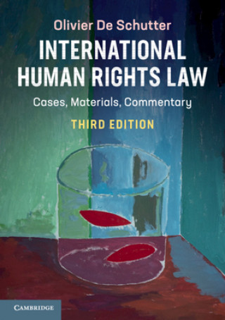 Книга International Human Rights Law Olivier De Schutter