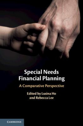Kniha Special Needs Financial Planning Lusina Ho