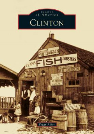 Libro Clinton Peggy Adler