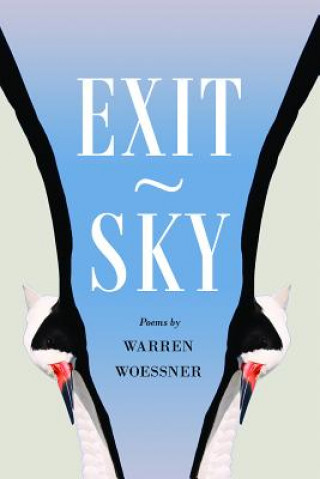 Książka Exit-Sky Warren Woessner