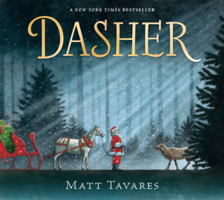 Könyv Dasher: How a Brave Little Doe Changed Christmas Forever Matt Tavares