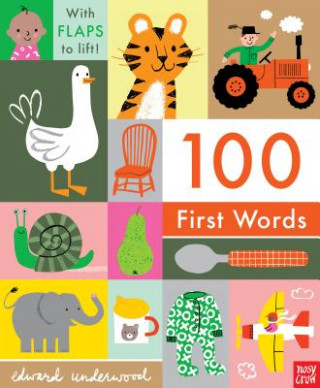 Könyv 100 First Words Nosy Crow