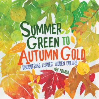 Kniha Summer Green to Autumn Gold: Uncovering Leaves' Hidden Colors Mia Posada