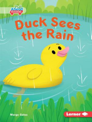 Libro Duck Sees the Rain Margo Gates