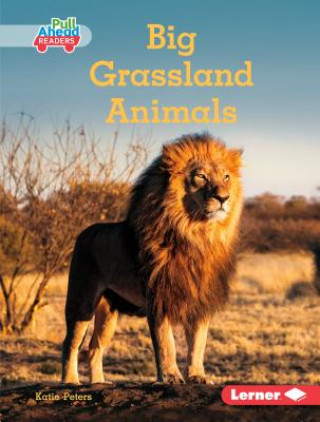 Kniha Big Grassland Animals Katie Peters