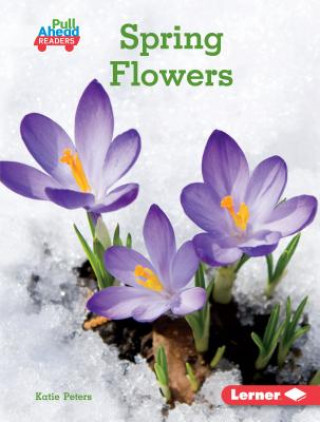 Buch Spring Flowers Katie Peters